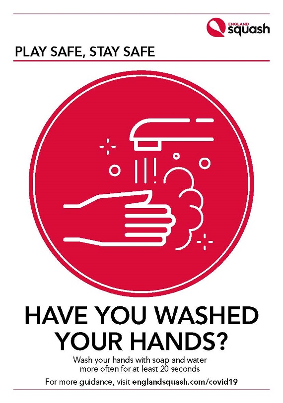 Have you washed your hands? poster